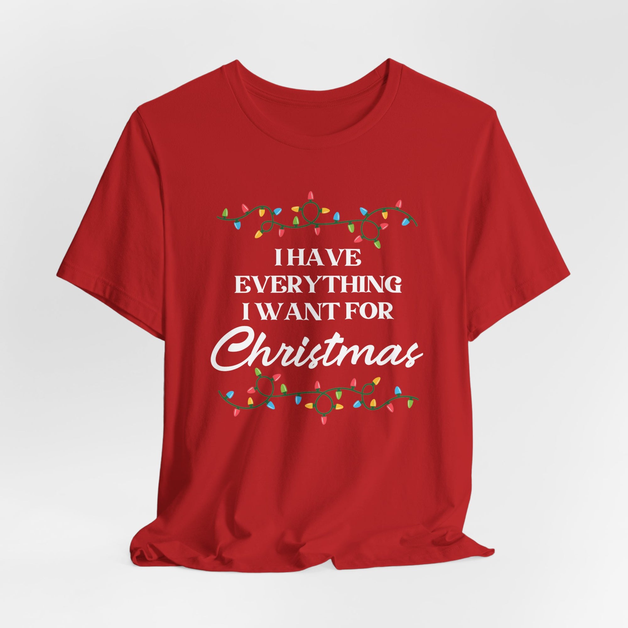 I Have Everything I Want For Christmas Couples Matching Tee Bundle
